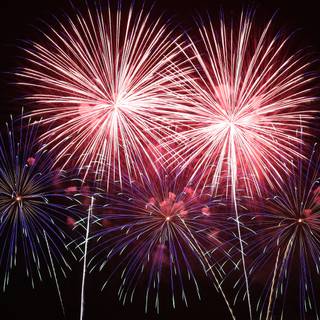 Año Nuevo 2024 wallpaper