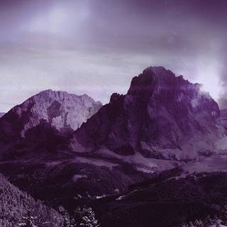 Purple winter desktop wallpaper