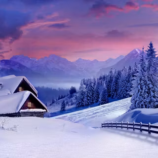 Purple winter desktop wallpaper