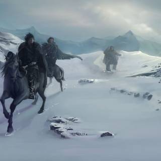 Black horse winter wallpaper