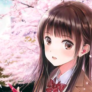 Anime school 4k wallpaper