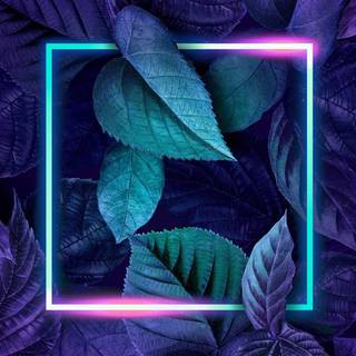 Leaves phone wallpaper