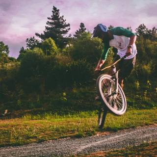 Mountain biking 4k wallpaper