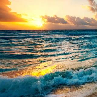 Phone beauty wallpaper