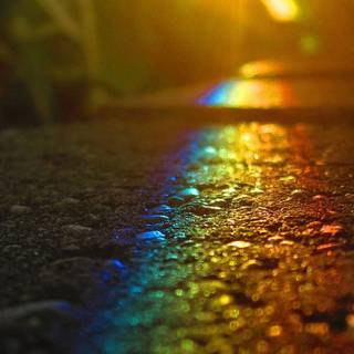 Phone beauty wallpaper