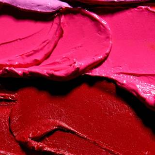 Phone beauty wallpaper