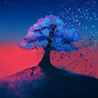 Phone beauty wallpaper