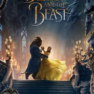 Phone beauty wallpaper