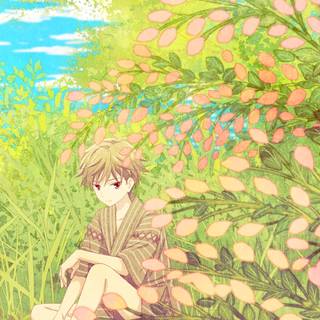 Fruits Basket iPhone wallpaper