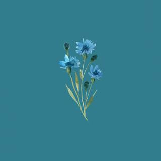 Blue flower iPhone wallpaper