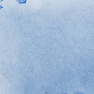 Blue flower iPhone wallpaper