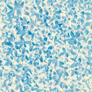 Blue flower iPhone wallpaper