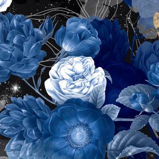 Blue flower iPhone wallpaper