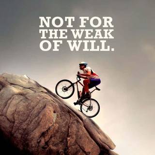 Biker phone wallpaper