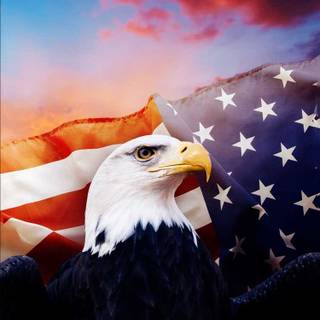 Patriotic iPhone wallpaper