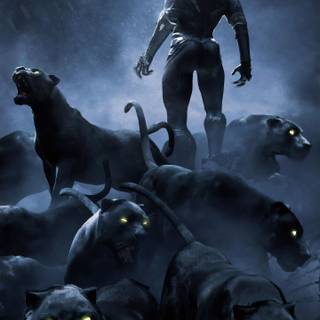 Wakanda Forever phone wallpaper