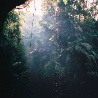 Cave iPhone wallpaper