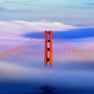 Bridge phone wallpaper