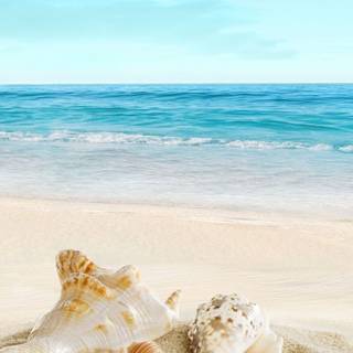 Beach vacation wallpaper