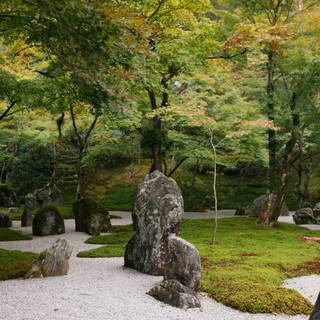 Cave iPhone wallpaper