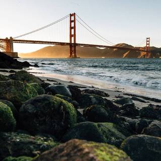 Bridge phone wallpaper