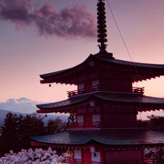 Japan iPhone 12 wallpaper