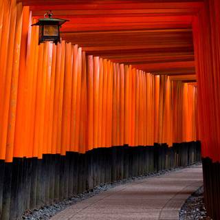 Japan iPhone 12 wallpaper