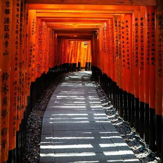 Japan iPhone 12 wallpaper