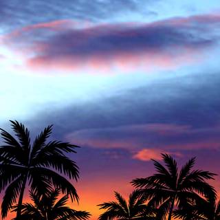 Beach sunset iPhone wallpaper