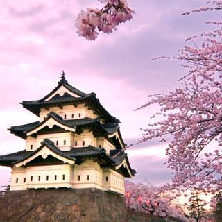 Japan iPhone 12 wallpaper