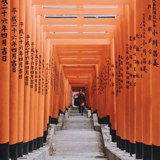 Japan iPhone 12 wallpaper