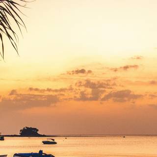 Beach sunset iPhone wallpaper