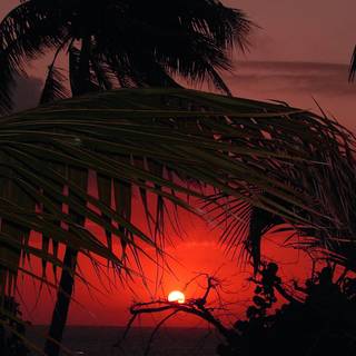 Beach sunset iPhone wallpaper