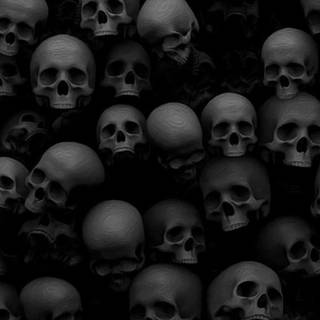 Skulls iPhone wallpaper