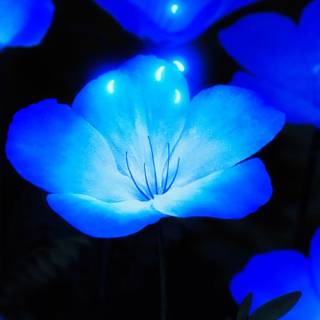 Glowing phone wallpaper