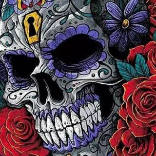 Skulls iPhone wallpaper