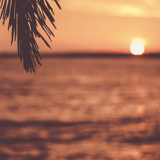 Beach sunset iPhone wallpaper