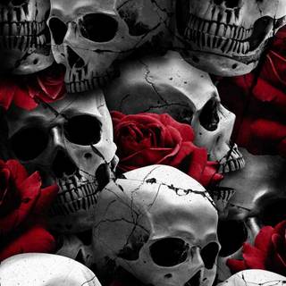 Skulls iPhone wallpaper