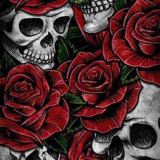 Skulls iPhone wallpaper