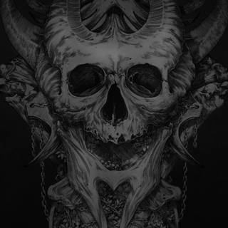 Skulls iPhone wallpaper
