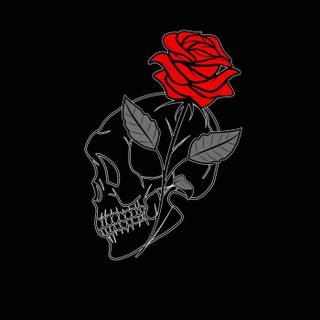 Skulls iPhone wallpaper