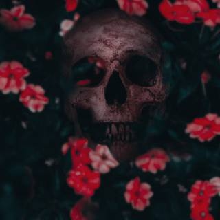 Skulls iPhone wallpaper