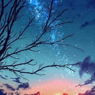 View phone wallpaper