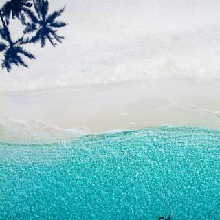 View phone wallpaper