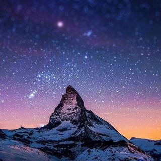 View phone wallpaper