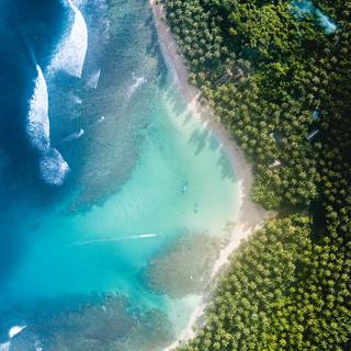 View phone wallpaper