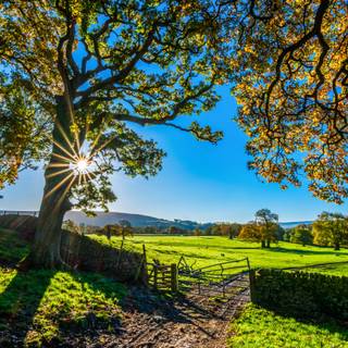 England landscape wallpaper