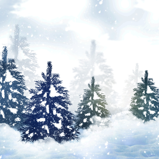 Snow over the trees wallpaper