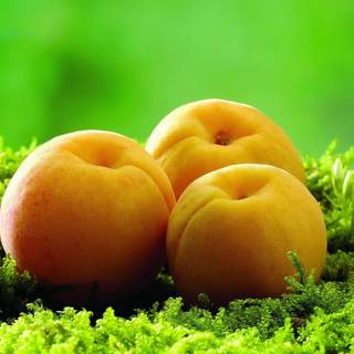 Apricots wallpaper