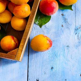 Apricots wallpaper